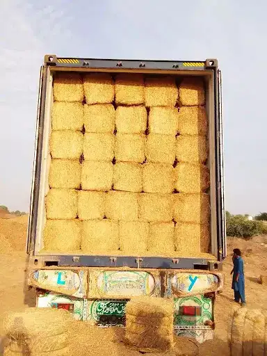 صيدلية الواون البيطرية