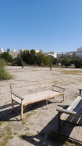 the garden