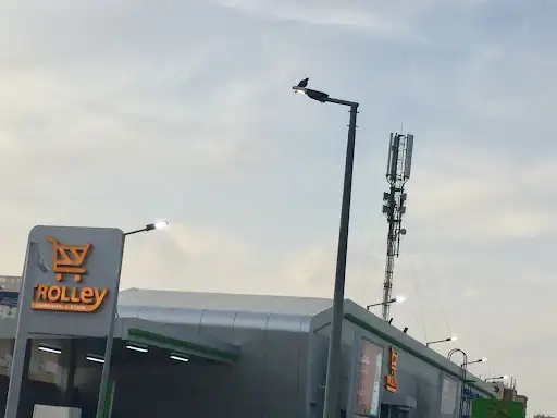 Trolley - ترولي الجابرية